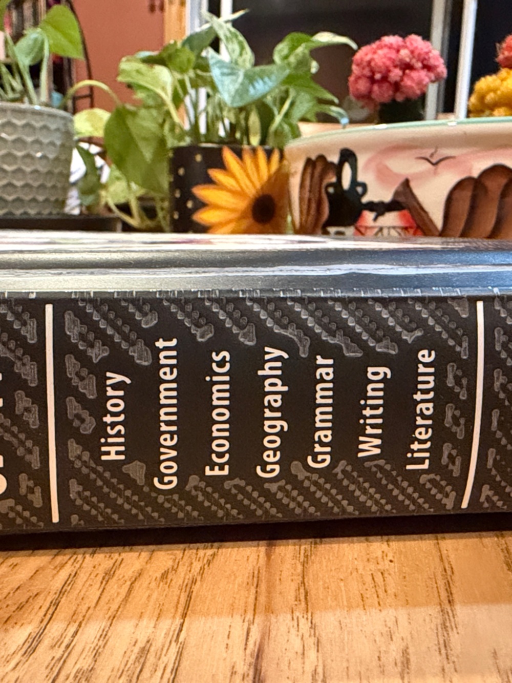 Southwestern Advantage Social Studies & Language Arts Homeschool Curriculum - Picture 3 of 11